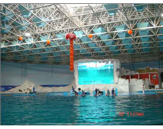 汝州游泳馆螺栓球网架